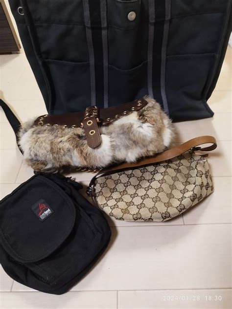 vig gucci
